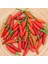 Tabasco Acı Biber Tohumu 4