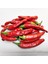 Onza Acı Biber Tohumu Capsicum Annuum 1