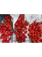 Acı Kırmızı Mantar Biber Tohumu Jamaican Red Mushroom 2