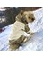 Kamuflaj Comfy Puf Köpek Mont Tulum Takım Köpek Ceket Takım 1