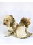Kamuflaj Comfy Puf Köpek Mont Tulum Takım Köpek Ceket Takım 4