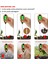 Profesyonel Toprak Ph Ölçer 4 In 1 Toprak Sıcaklığı Güneş Nemi Ph Ölçer Test Cihazı Bahçe Bitkileri Çiçekler Için LCD Ekran Araçları (Yurt Dışından) 4