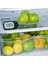 Dijital Buzdolabı Termometresi, Geniş LCD Ekranlı Dondurucu / Buzdolabı Termometresi, Mutfak, Ev, Restoranlar Için Maksimum / Min Kayıt Fonksiyonlu Termometre (Yurt Dışından) 2