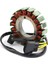 Stator Magneto Jeneratör Cf Moto 800CC CF800 Atv X8 Z8 U8 Tracker 0800-032000 Utv (Yurt Dışından) 3