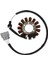 Motosiklet Magneto Motor Bobini Yarım Dalga Tam Dalga Magneto Motor Stator Motosiklet Malzemeleri Bmw S1000RR K46 09-17 (Yurt Dışından) 1