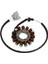 Motosiklet Magneto Motor Bobini Yarım Dalga Tam Dalga Magneto Motor Stator Motosiklet Malzemeleri Bmw S1000RR K46 09-17 (Yurt Dışından) 2