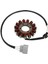 Motosiklet Magneto Motor Bobini Yarım Dalga Tam Dalga Magneto Motor Stator Motosiklet Malzemeleri Bmw S1000RR K46 09-17 (Yurt Dışından) 3
