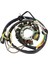 Polaris Sportsman 500 400 Stator Bobini Için Yeni 4 Zamanlı Jeneratör Magneto 3084974 3086860 (Yurt Dışından) 4