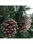 9 Adet Çam Kozalağı Noel Çam Kozalakları Asılı Noel Baubles Ağacı Parti Dekor Süsleme (Yurt Dışından) 3