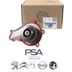 Psa Devirdaim Dw6 (1609417680-1144.03-703738030)