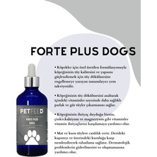 Pet Feed Forte Plus Dogs 100 ml Köpek Için Tüy Sağlığı - Tüy Dökülmesi Önleyici Damla