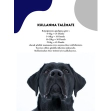 Pet Feed Forte Plus Dogs 100 ml Köpek Için Tüy Sağlığı - Tüy Dökülmesi Önleyici Damla