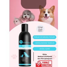 Petelogy Dirty Nektari Parfümlü Pet Şampuanı 250 ml