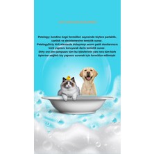 Petelogy Dirty Nektari Parfümlü Pet Şampuanı 250 ml