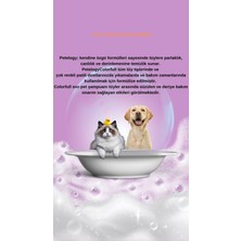 Petelogy Colorful Karışık Parfümlü Pet Şampuanı 250 ml