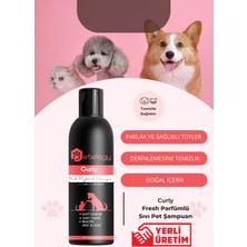 Petelogy Curly Fresh Parfümlü Pet Şampuanı 250 ml