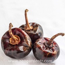 Zengarden Cascabel Orta Acı Biber Tohumu Chili Pepper