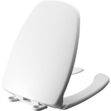 Turkuaz Seramik Bedensel Engelli Yavaş Kapanır Kapak