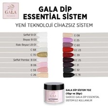 Gala Professi̇onal GALA DİP SİSTEM TOZ 10 GR ŞEFFAF B01