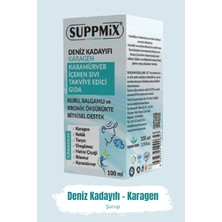 Suppmix Karagen Bitkisel Şurup 100 ml