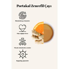 Tarihi Yarımada Kahvecisi Portakal Zencefil Çayı 300 gr