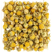 Tarihi Yarımada Kahvecisi Doğal Papatya Çayı 200 gr