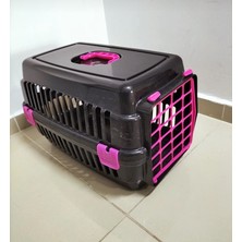 Ciklet Kedi Box