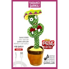 Misan Kaktüs Oyuncak Konuşan Dans Eden Yabancı Müzikli Işıklı Ses Taklit Edebilen