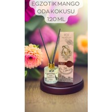 Grimaldi Egzotik Mango Kokusu Oda Bambu Kokusu Brezza Esotıca