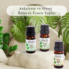 Kaoils Pure Essence Aromaterapi Anksiyete ve Stres Önleyici Set