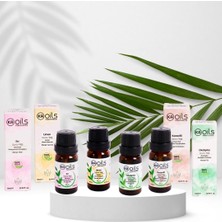 Kaoils Pure Essence Aromaterapi Koku Hafızası Seti