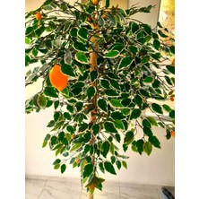 Yeşilada Yapay Limon Ağacı Limon Çiçeği 1.80 mt Boy Büyük Iri Sarı Limon Doğal Görünüm