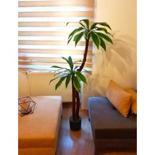 Yeşilada Yapay Yuka Ağacı Çift Gövdeli 1.60 Metre Boyunda Islak Doku Yucca Ağaç Çiçek