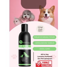 Petelogy All In Use Lavanta Parfümlü Pet Şampuanı 250 ml