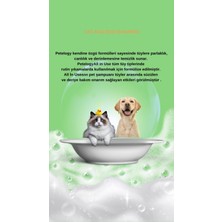 Petelogy All In Use Lavanta Parfümlü Pet Şampuanı 250 ml