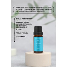 Bade Natural Saf Huzur Aromaterapi Karışımı 10 ml