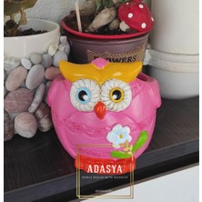 Adasya Gift Adasyagifts Pembe Baykuş Saksı