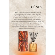 Cenes Sun Reed Diffuser 200ML-ÇUBUKLU Oda Kokusu