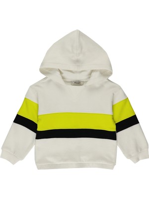 Panço Erkek Bebek Blok Renkli Kapüşonlu Sweatshirt