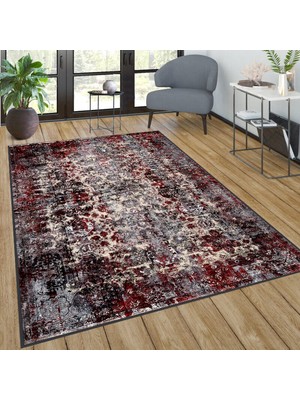 Rovigo Home Dijital Baskı Yıkanabilir Kaymaz Taban Salon Halısı Rvg0276