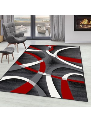 Rovigo Home Dijital Baskı Yıkanabilir Kaymaz Taban Salon Halısı Rvg0255