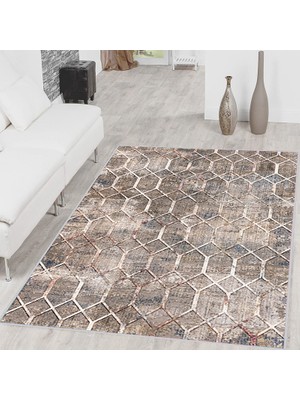 Rovigo Home Dijital Baskı Yıkanabilir Kaymaz Taban Salon Halısı Rvg1513-Sd239