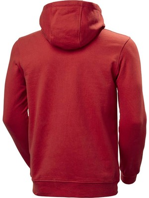 Helly Hansen Logo Hoodıe Kapişonlu