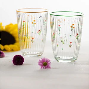 Botanical 4'lü Meşrubat Bardağı Seti 395 cc