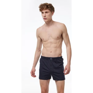 Erkek Füme Geniş Kalıp Büyük Beden %100 Pamuk Battal Boxer 90024