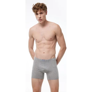 Erkek Gri Pamuk Elastan Uzun Boxer 073