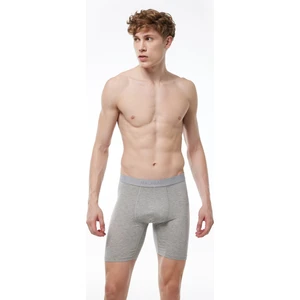 Erkek Gri Uzun Paçalı Modal Boxer 019