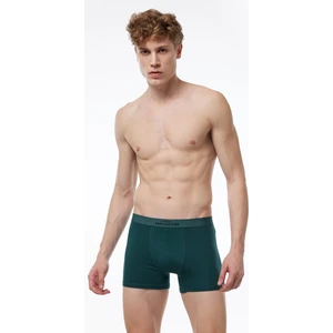 Erkek Yeşil Pamuk Elastan Boxer 075