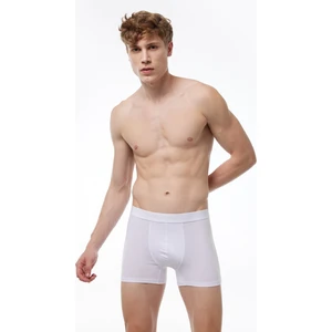 Erkek Beyaz Milan Modal Boxer 014