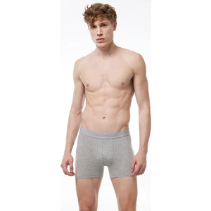 Erkek Gri Milan Modal Boxer 014